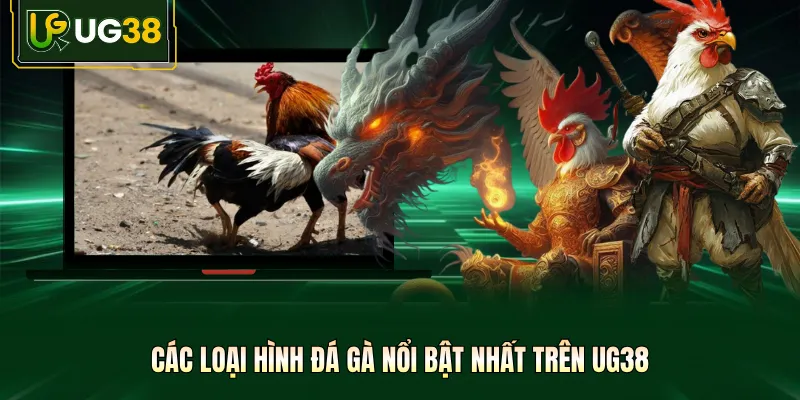 Các loại hình đá gà nổi bật nhất trên UG38