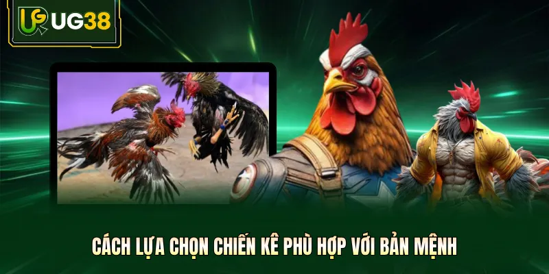 Cách lựa chọn chiến kê phù hợp với bản mệnh