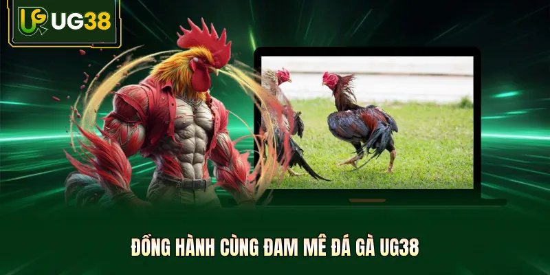 Đồng hành cùng đam mê đá gà UG38