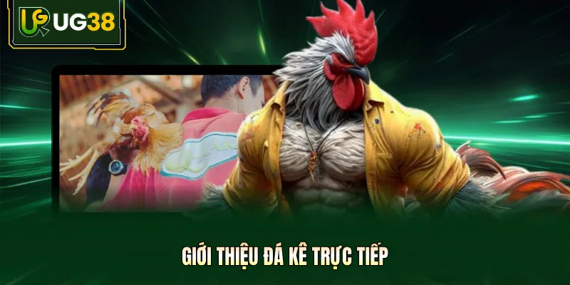 Giới thiệu đá kê trực tiếp