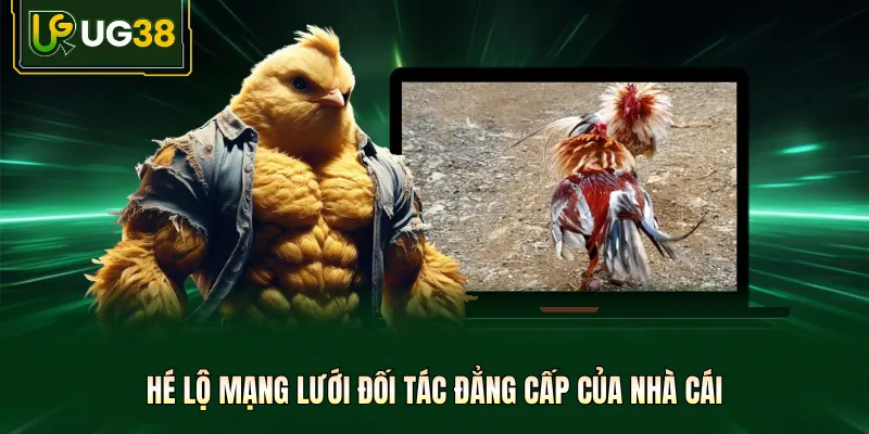 Hé lộ mạng lưới đối tác đẳng cấp của nhà cái