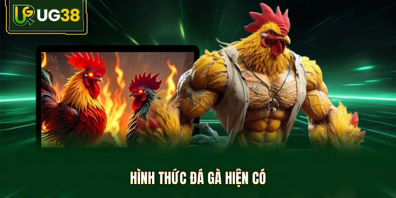 Hình thức đá gà hiện có