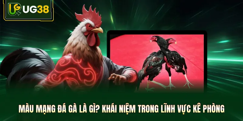 Màu mạng đá gà là gì? Khái niệm trong lĩnh vực kê phòng