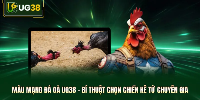 Màu Mạng Đá Gà - Mẹo Chọn Chiến Kê Từ Chuyên Gia UG38