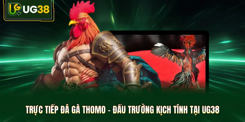 Trực Tiếp Đá Gà Thomo - Đấu Trường Kịch Tính Tại UG38